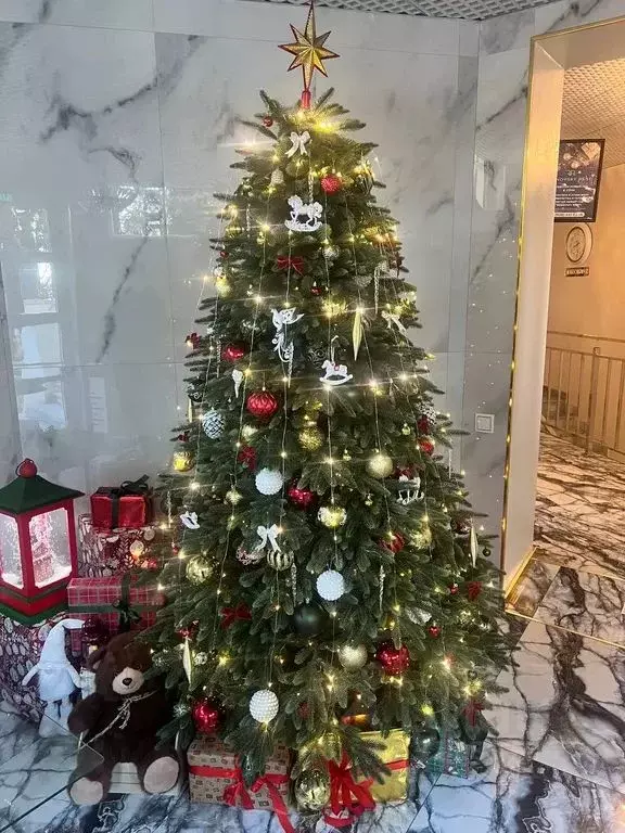 Комната Краснодарский край, Сочи Светлана мкр, ул. Депутатская, 14 - Фото 1