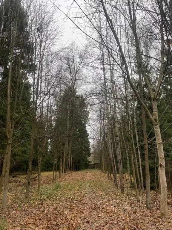 Участок в Московская область, Одинцовский городской округ, ... - Фото 2