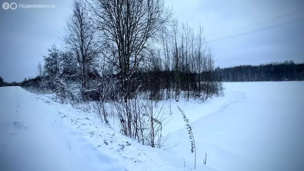 Участок в Новгородская область, Маловишерское городское поселение, ... - Фото 0