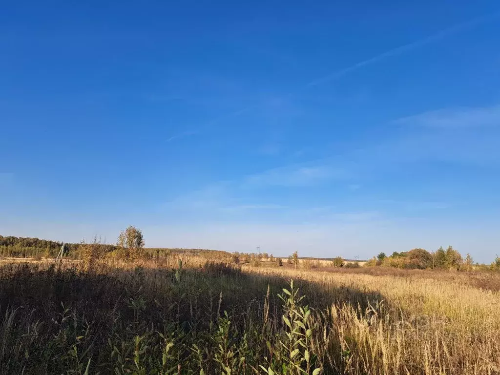 Участок в Московская область, Кашира городской округ, д. Никулино  ... - Фото 0