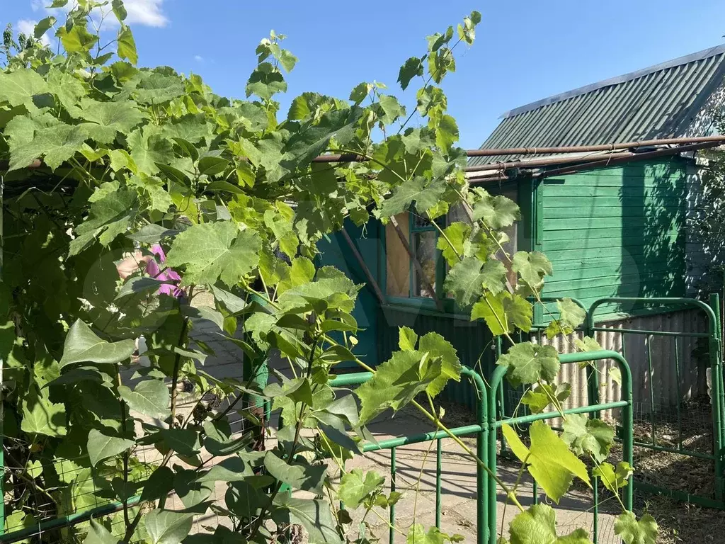 Купить Дачу Володарский Район
