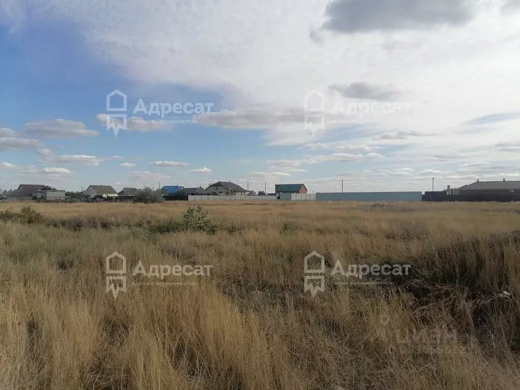 Участок в Волгоградская область, Светлоярский район, Червленовское ... - Фото 1