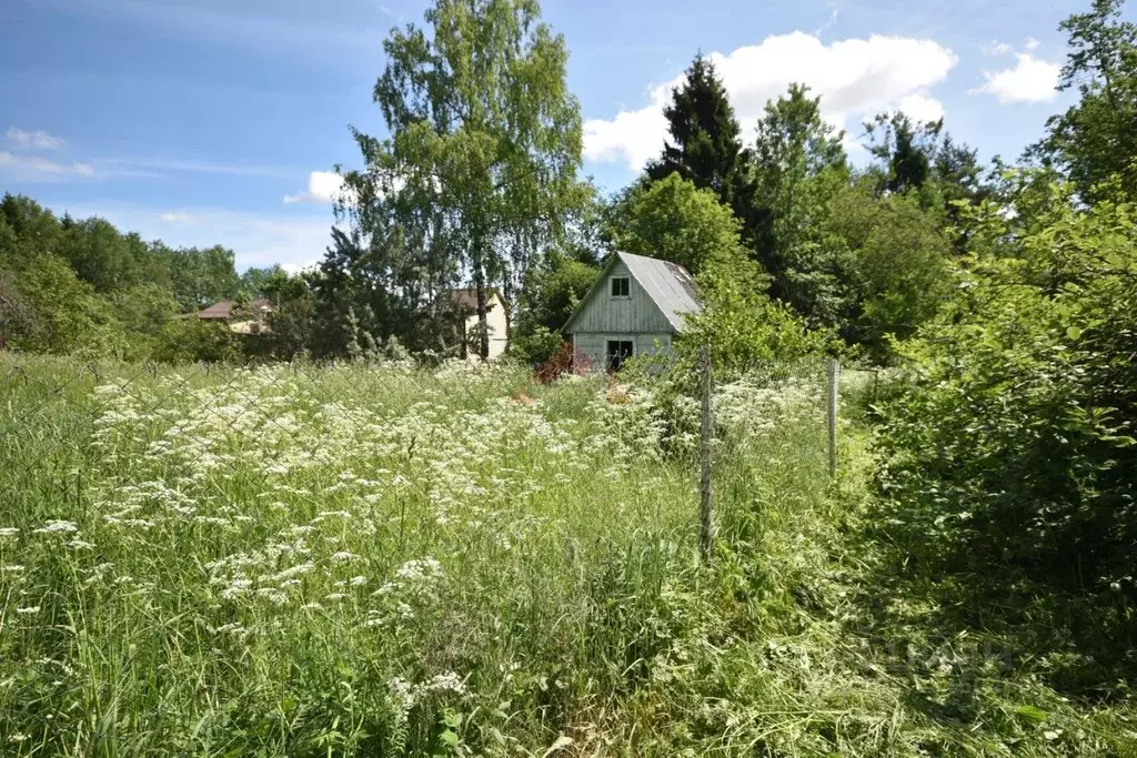 Участок в Владимирская область, Кольчугинский район, Раздольевское ... - Фото 0