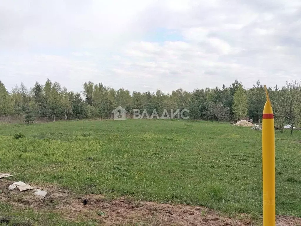 Участок в Владимирская область, Судогодский муниципальный округ, д. ... - Фото 1