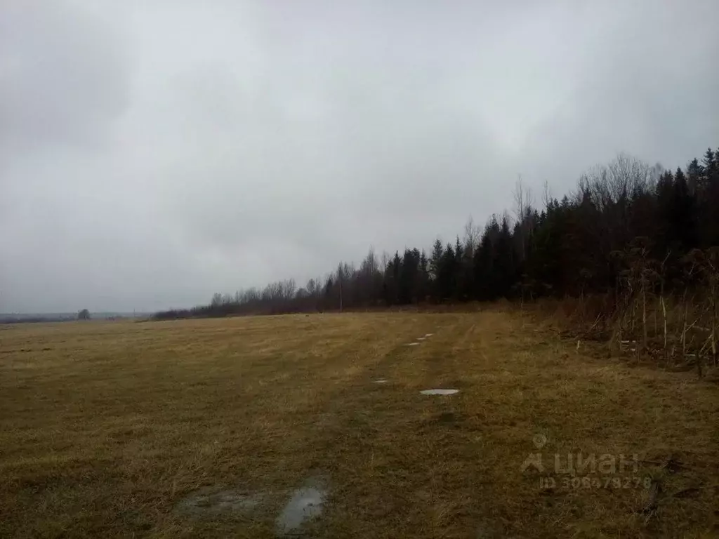 Участок в Ленинградская область, Выборгский район, пос. Гончарово ... - Фото 1