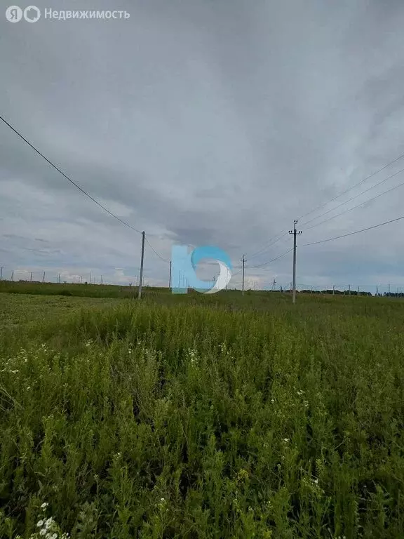 Участок в Кармаскалинский район, Кабаковский сельсовет, село Сихонкино ... - Фото 1