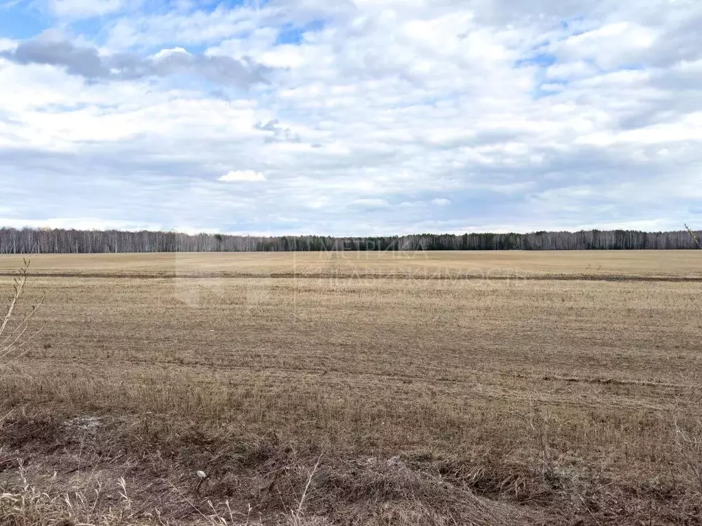 Участок в Тюменская область, Тюменский район, с. Кулига  (6.0 сот.) - Фото 1