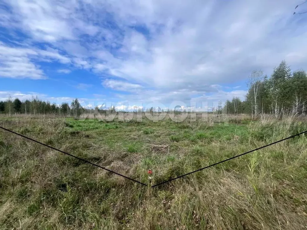 Участок в Новосибирская область, Новосибирский район, Каменский ... - Фото 1