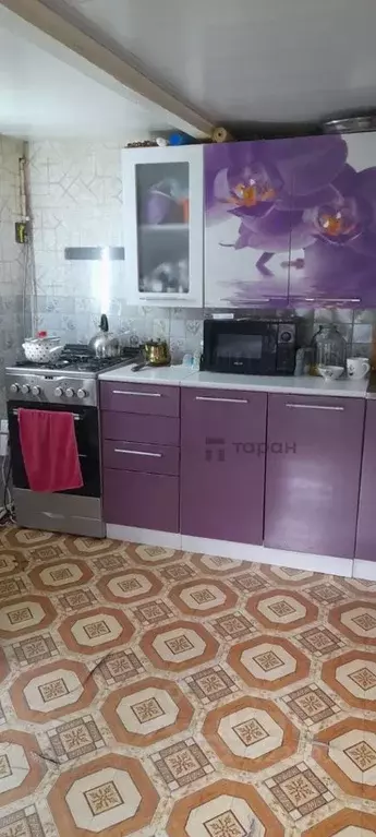 Дом в Челябинская область, Троицк ул. Имени А.С. Пушкина, 133 (62 м) - Фото 0