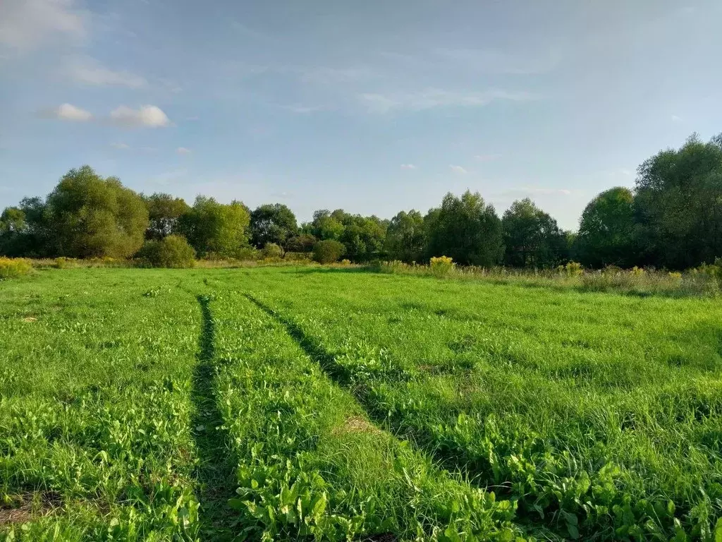 Участок в Орловская область, Орловский район, д. Медведево ул. ... - Фото 0