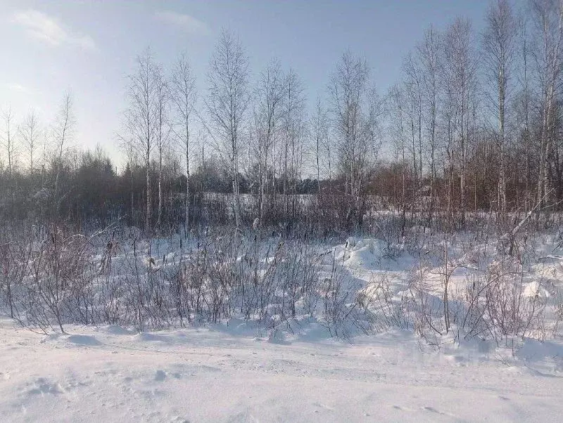 Участок в Московская область, Талдомский городской округ, д. Волкуша  ... - Фото 2