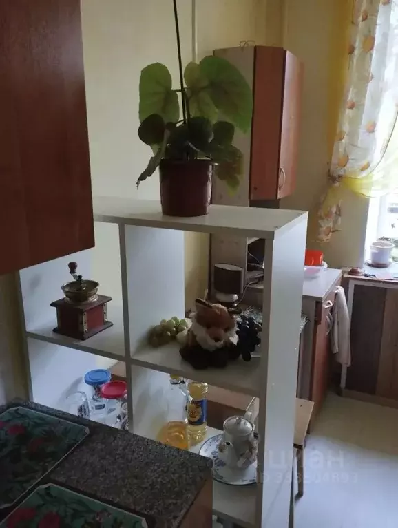 Комната Костромская область, Кострома ул. Шагова, 15 (18.0 м) - Фото 2