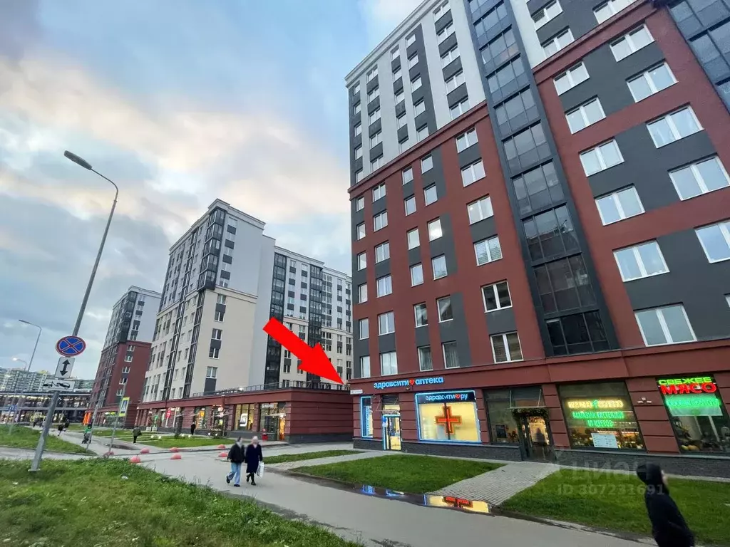 Помещение свободного назначения в Ленинградская область, Мурино ... - Фото 2