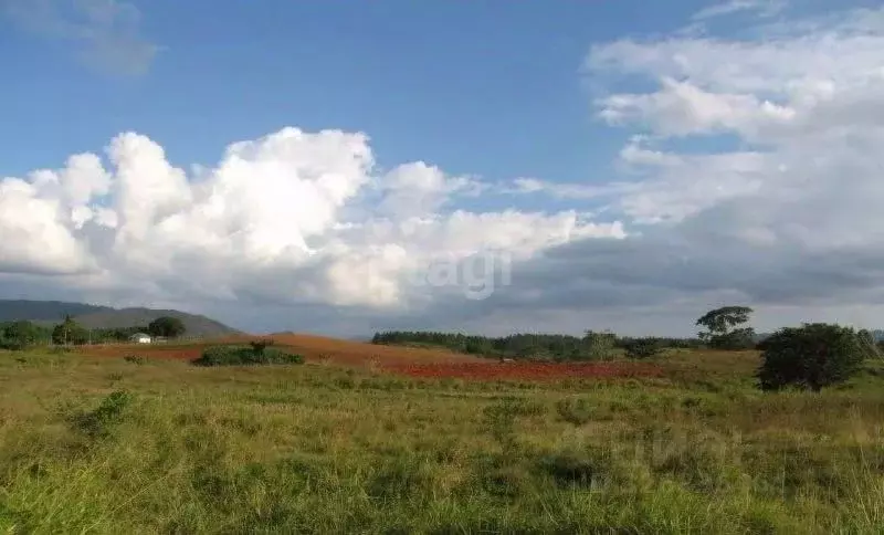 Дом в Белгородская область, Белгородский район, с. Стрелецкое ул. ... - Фото 1