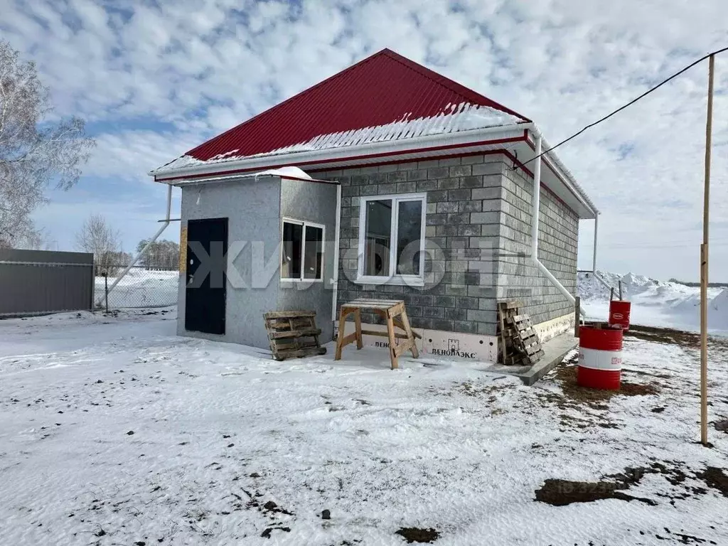 Дом в Новосибирская область, Коченевский район, пос. Речник Новая ул. ... - Фото 2