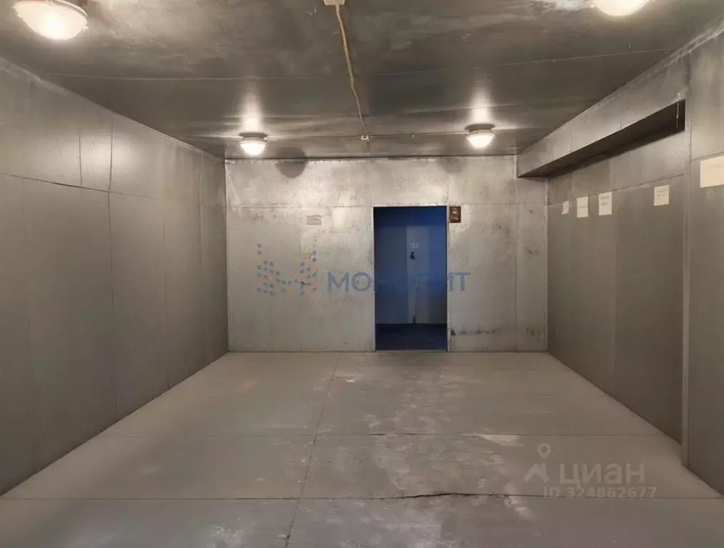 Помещение свободного назначения в Нижегородская область, Нижний ... - Фото 1