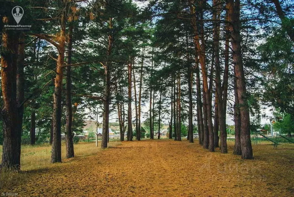 Участок в Рязанская область, Шацкий муниципальный округ, с. Ямбирно ... - Фото 1