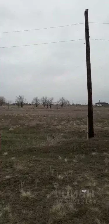 Участок в Волгоградская область, Иловлинский район, Качалинское с/пос, ... - Фото 1