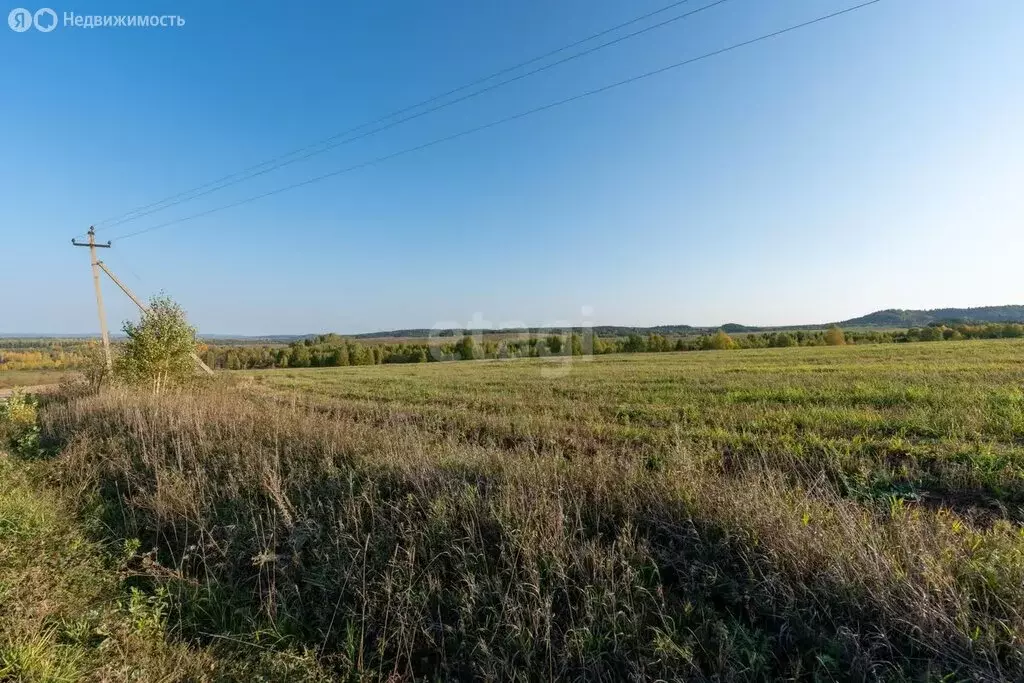 Участок в Пермский край, Осинский муниципальный округ, село Крылово ... - Фото 1