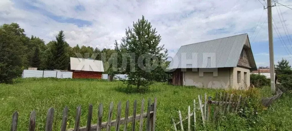 Дом в Новосибирская область, Тогучинский район, Березка садовое ... - Фото 0