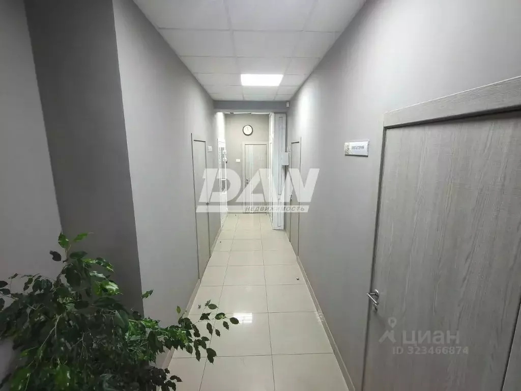 Офис в Челябинская область, Челябинск Красноармейская ул., 55 (59 м) - Фото 2