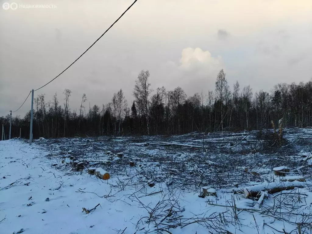 Участок в Осьминское сельское поселение, деревня Извоз (129 м) - Фото 1