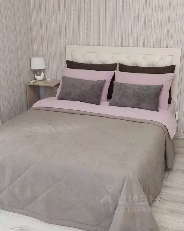 Студия Татарстан, Казань Университетская ул., 4 (22.0 м) - Фото 2