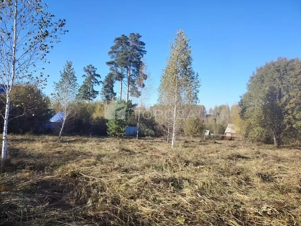 Участок в Новосибирская область, Новосибирский район, Барышевский ... - Фото 1