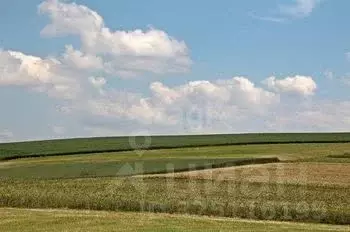 Участок в Новосибирская область, Мошковский район, с. Томилово  (400.0 ... - Фото 1