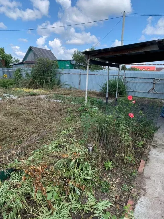 Участок в Оренбургская область, Оренбургский район, Экспериментальный ... - Фото 1