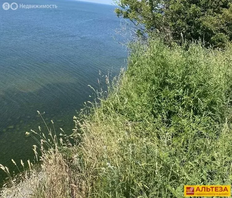 Участок в посёлок Приморье, Берёзовая улица (8.5 м) - Фото 0