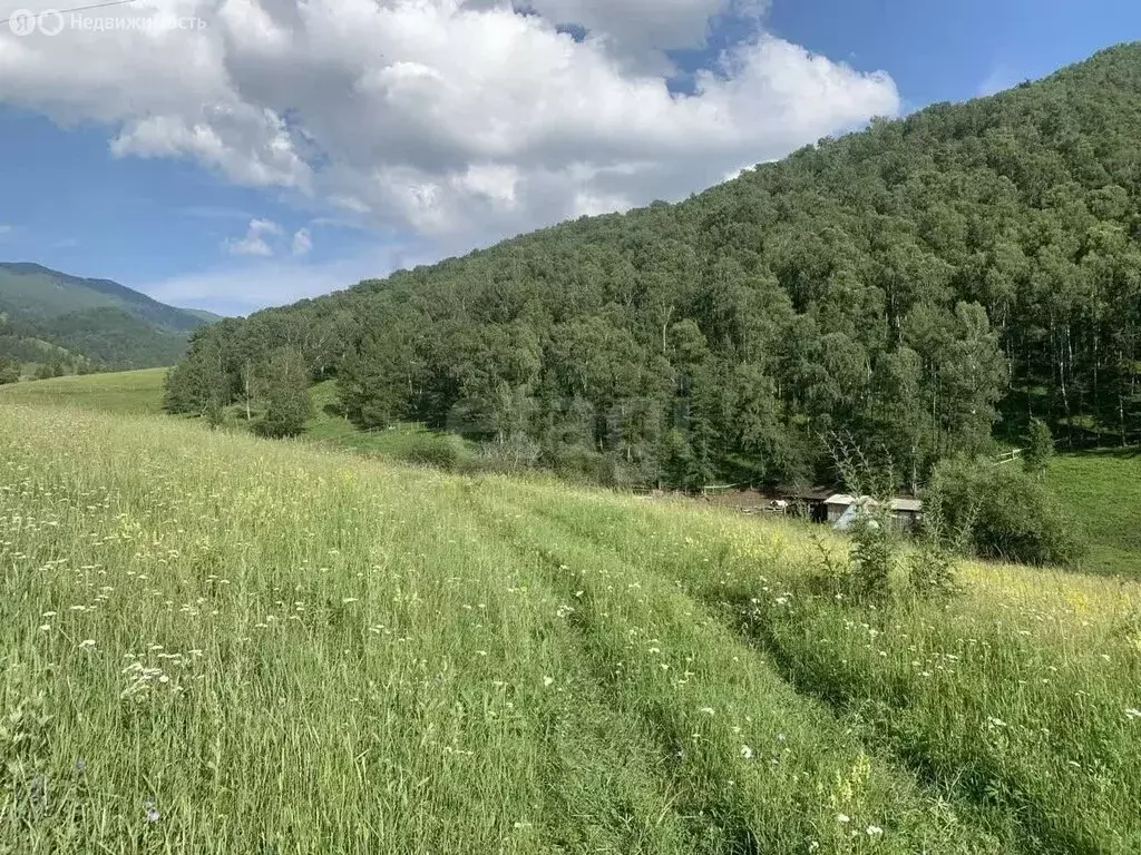 Участок в Шебалинский район, село Шебалино (7 м) - Фото 1