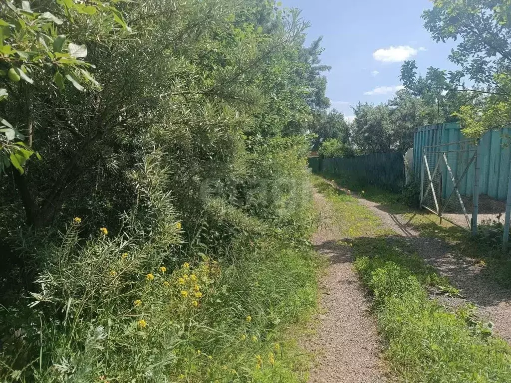 Участок в Нижегородская область, Нижний Новгород Золотая Осень СНТ, ... - Фото 0