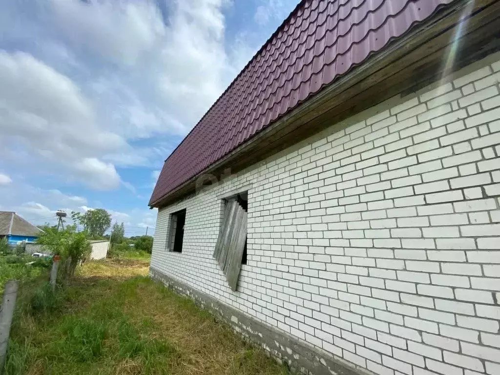 Дом в Брянская область, Выгоничский район, Кокинское с/пос, с. Палужье ... - Фото 2