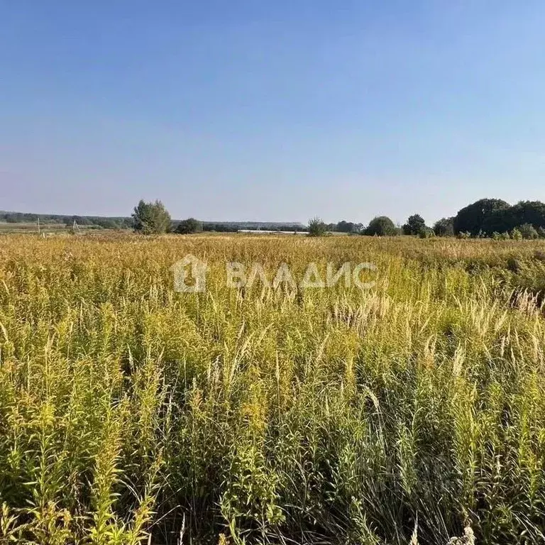 Участок в Калининградская область, Янтарный городской округ, пос. ... - Фото 1