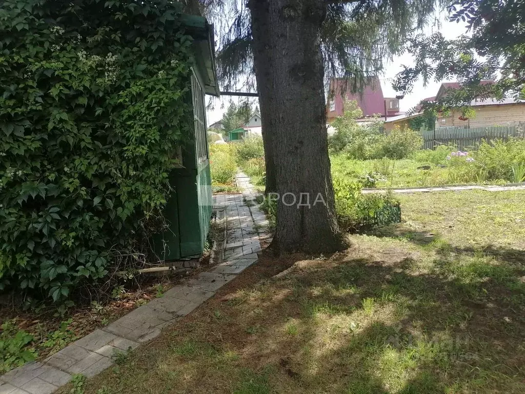 Участок в Новосибирская область, Новосибирский район, Толмачевский ... - Фото 2