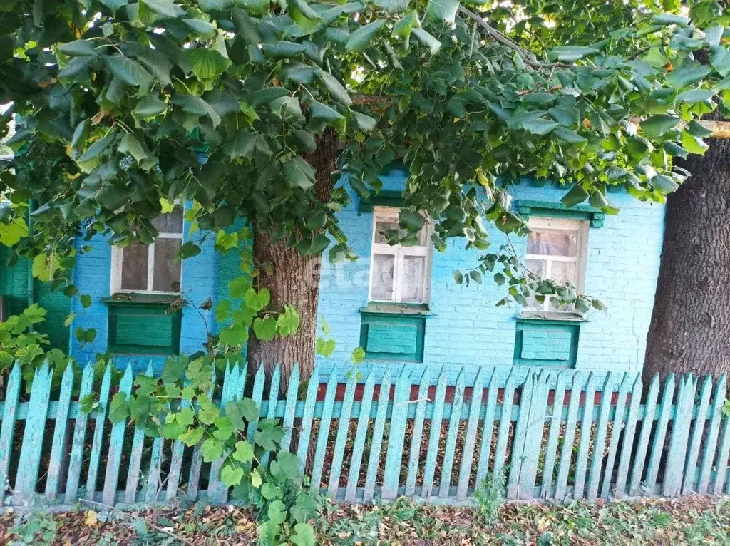 Дом в Белгородская область, Яковлевский муниципальный округ, с. ... - Фото 1