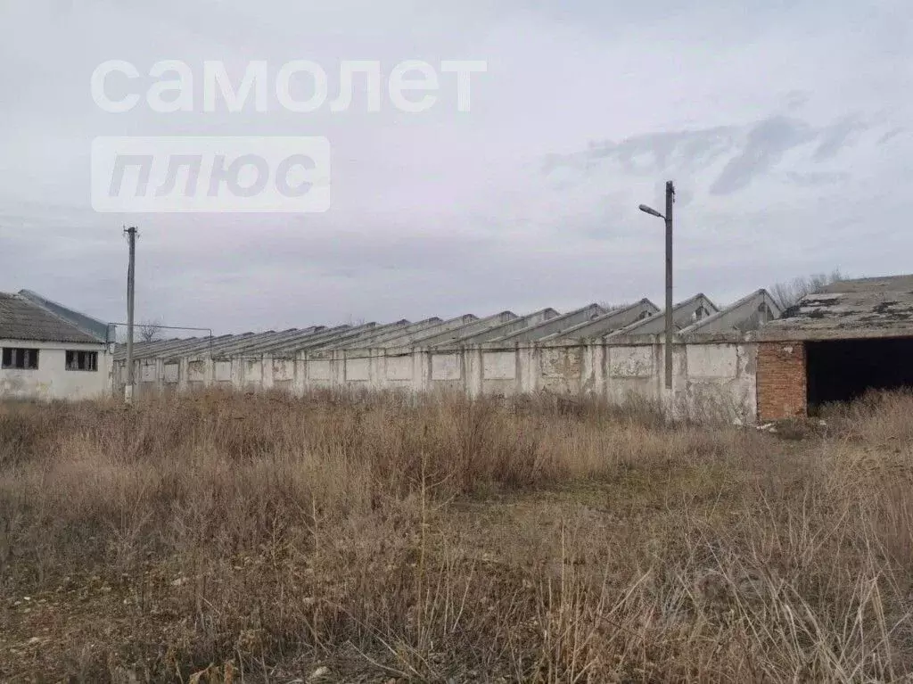 Купить Дом В Селе Надежда Ставропольского