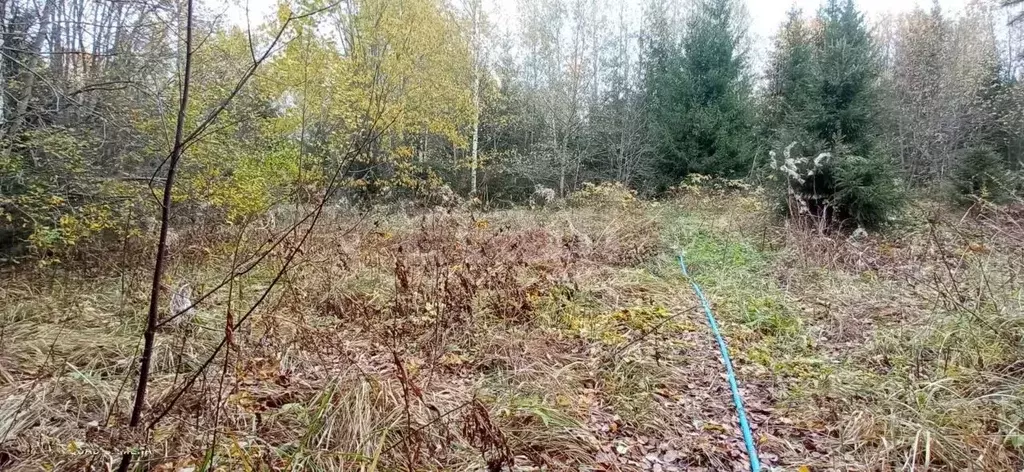 Участок в Вологодская область, Возрождение садоводческое товарищество ... - Фото 2