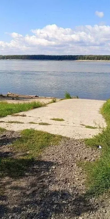 Дом в Новосибирская область, Новосибирский район, Мочищенский ... - Фото 0