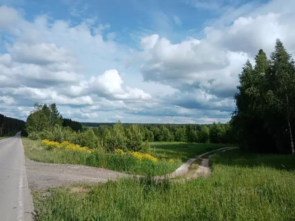 Участок в Нижегородская область, Богородский муниципальный округ, д. ... - Фото 1