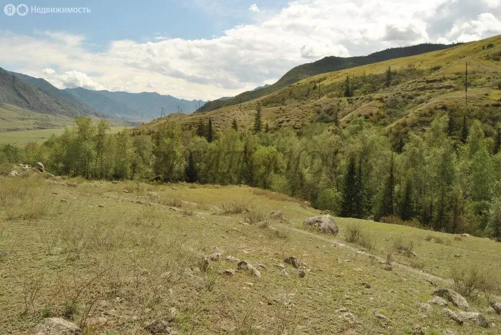 Участок в Онгудайский район, село Купчегень (14.6 м) - Фото 2