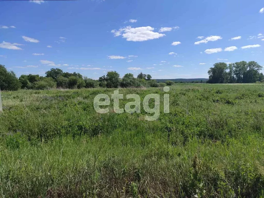 Участок в Свердловская область, Талицкий городской округ, д. Одина  ... - Фото 0