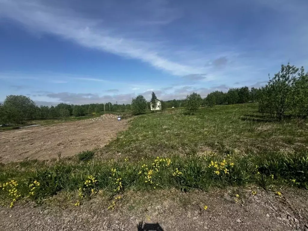Участок в Ленинградская область, Ломоносовский район, Лопухинское ... - Фото 2