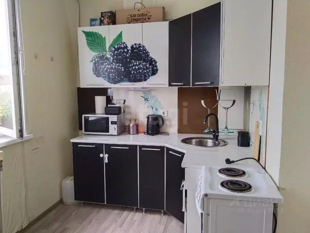 1-к кв. Белгородская область, Белгородский район, Дубовское с/пос, с. ... - Фото 0