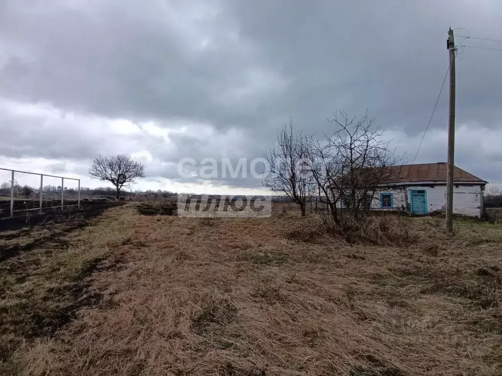 Участок в Липецкая область, Хлевенский муниципальный округ, с. Елецкая ... - Фото 1