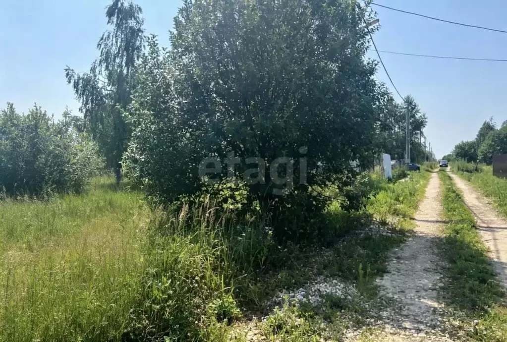 Участок в Московская область, Коломна городской округ, пос. Проводник  ... - Фото 1
