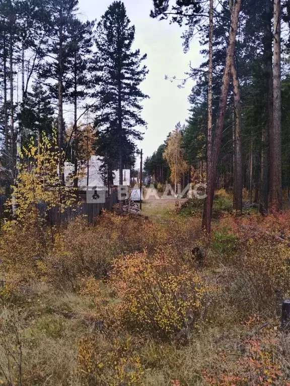 Участок в Бурятия, Прибайкальский район, с. Горячинск ул. Горячинская ... - Фото 1