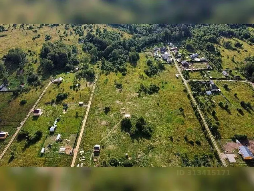 Участок в Липецкая область, Лев-Толстовский район, Домачевский ... - Фото 0