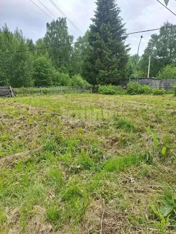 Участок в Вологодская область, Усть-Кубинский муниципальный округ, ... - Фото 1